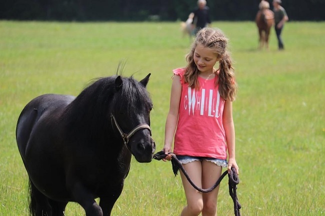 Mijn kind dol paarden! | Kidsproofplus