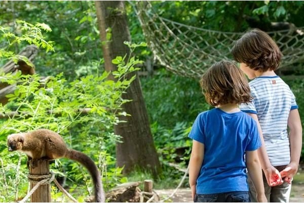 Toegankelijke uitjes voor kinderen in Gelderland