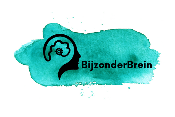 Bijzonder Brein