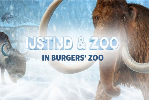 IJstijd & Zoo