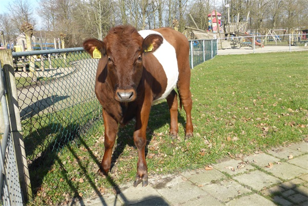 Kinderboerderij De Naturij