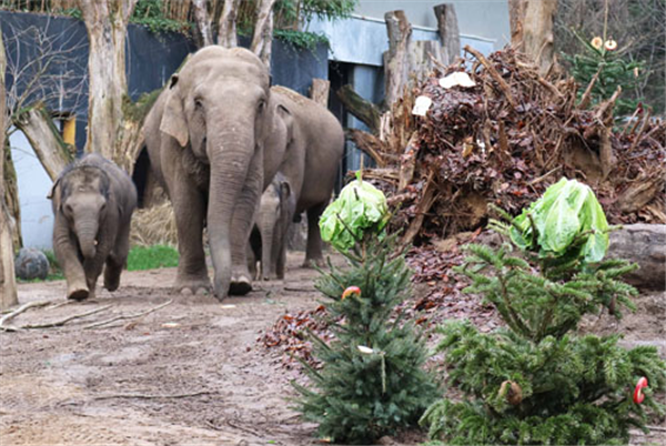 Dierenpark Amersfoort