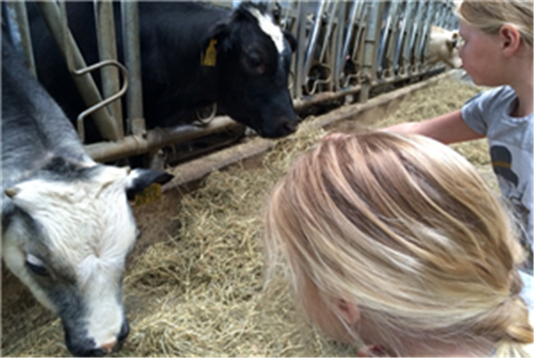 Feestje op de boerderij