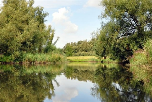 Nationaal Park De Biesbosch