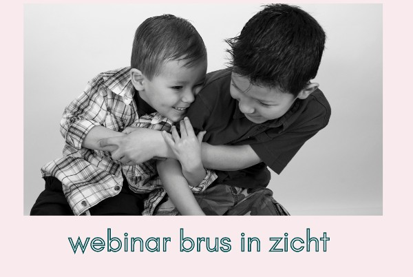 Brus in Zicht Webinair