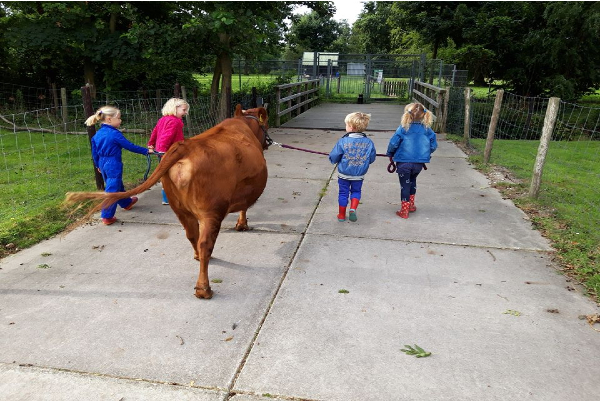 Kinderboerderij Voorschoten
