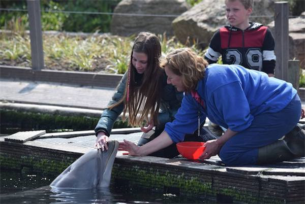 Therapie met dieren