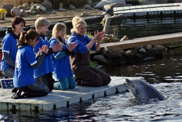 Therapie met dieren