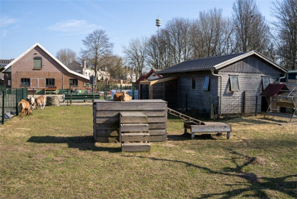 Kinderboerderij & speeltuin