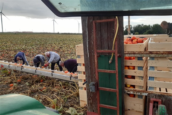 Zonnehoeve zorgboerderij