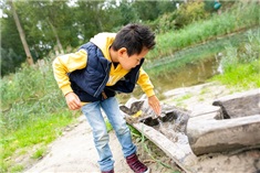 Bultpark Lelystad<br>