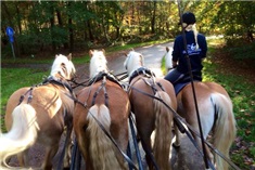 Paardrijden in een rolstoel<br>