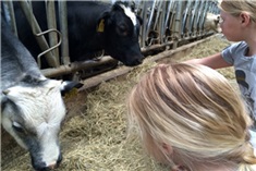 Feestje op de boerderij<br>