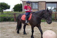 Je paard, je maatje<br>