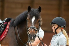 Ruiters met mogelijkheden<br>