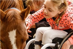 Manege Onder de Linde<br>