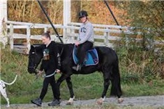 De Blijde Ruiters<br>