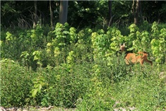 Rolstoelroute Levenspad<br>