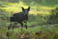 Rolstoelpad Nunspeet<br>